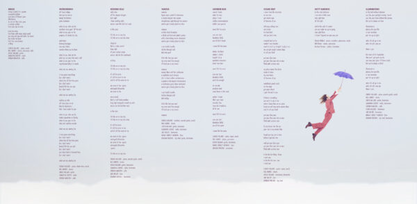Pilot Boy – Vinyl Album - Image 4